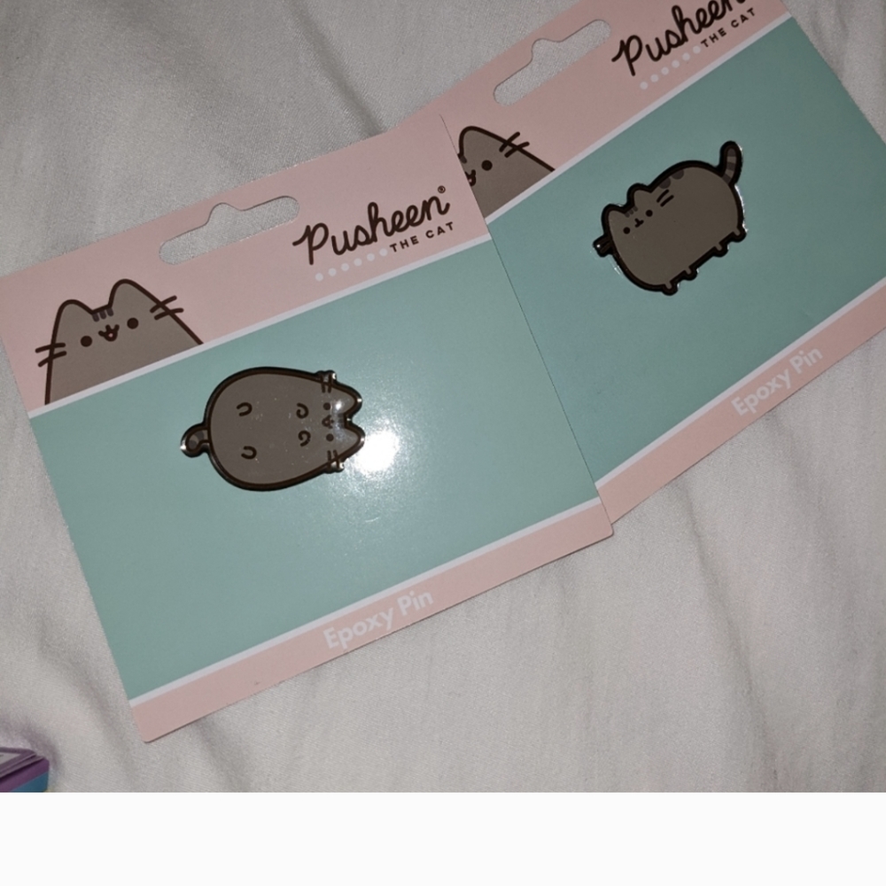 Pusheen pin bundle of two